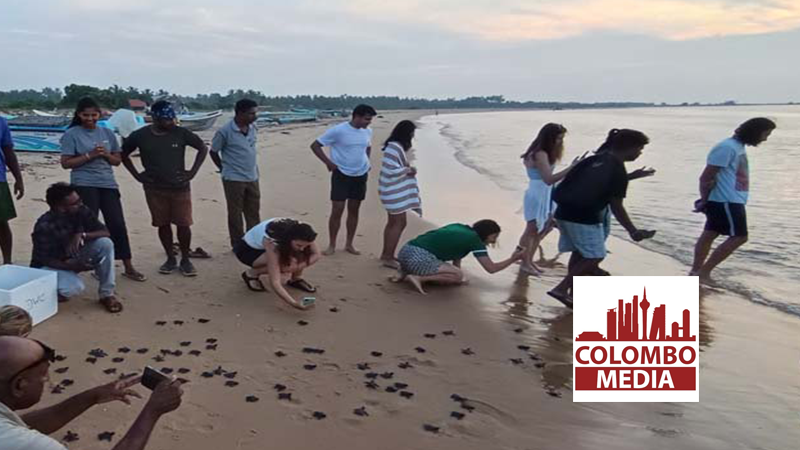කන්දකුලිය මුහුදට කැස්බැ පැටවුන් 400ක් මුදා හැරෙයි